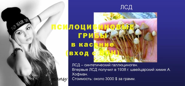 таблы Лиски