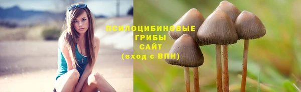 бошки Лихославль