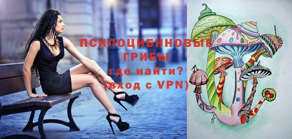 герыч Ладушкин