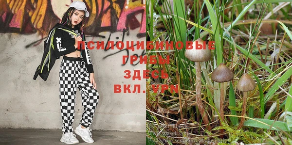 бошки Лихославль