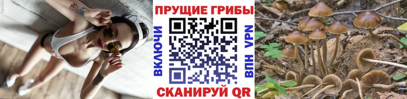 mega маркетплейс цена Отрадная Галлюциногенные грибы Magic Shrooms